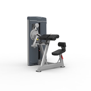 Biceps Curl/Triceps Extension