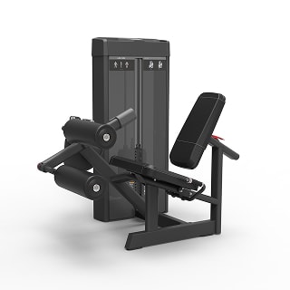 Seated Leg Curl