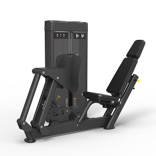 Leg Press/Calf Extension