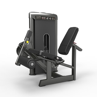 Leg Extension