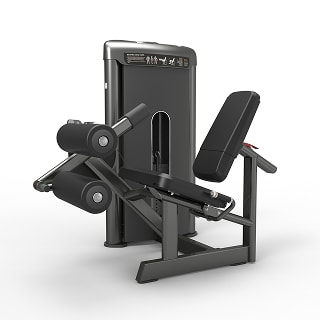 Seated Leg Curl