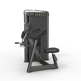 Biceps Curl